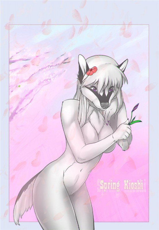 collection no.2 page 6 full