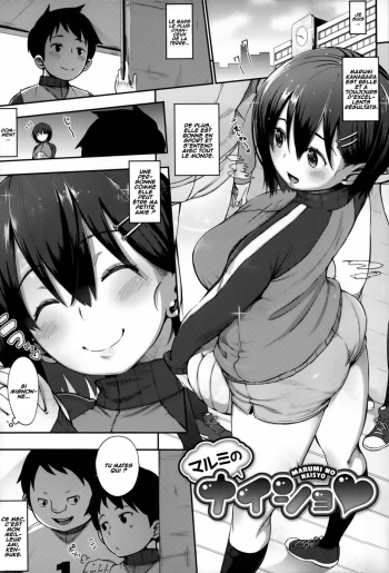 MARUMI NO NAISYO cover