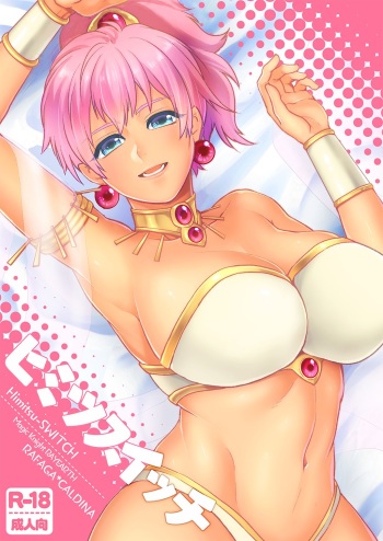 Himitsu-Switch cover
