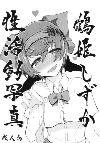 Tsuruki Shizuka Sei katsudo Shashin cover