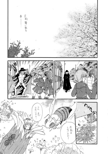 Tanpopo-san cover