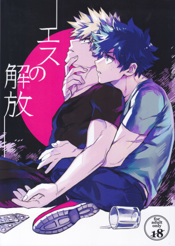 Es no Kaihou cover