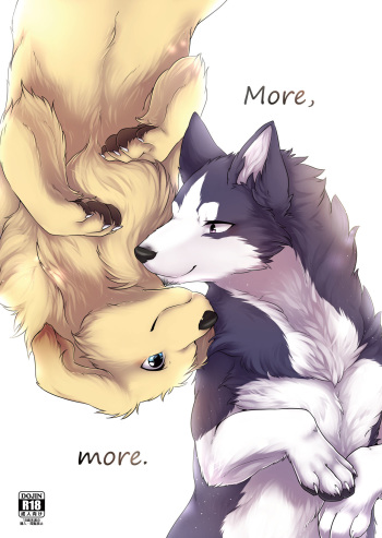 More, more. cover