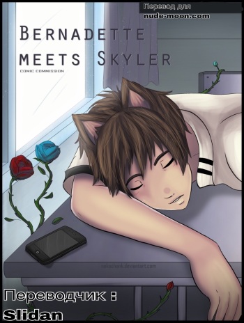 Bernadette Meets Skyler cover