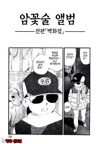Meshibe no Album | 암꽃술 앨범 cover