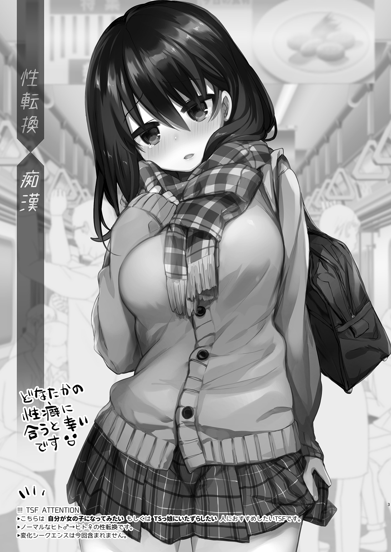 Beit Gaeri no TS kko ga Chikan ni Nerawarechau Bon page 3 full