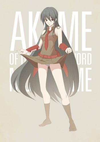 Akame Ga Kill cover
