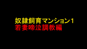 Dorei Shiiku Mansion 1 Wakazuma Teikyuu Choukyou Hen cover