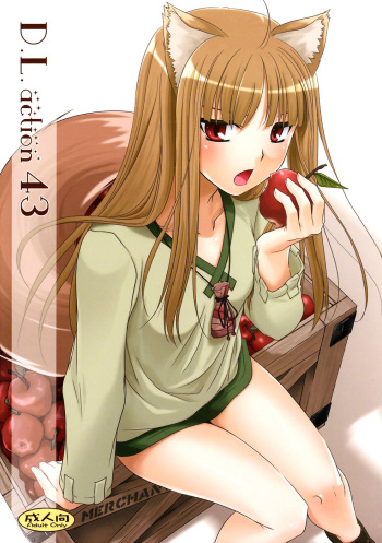 D.L. action 43 cover