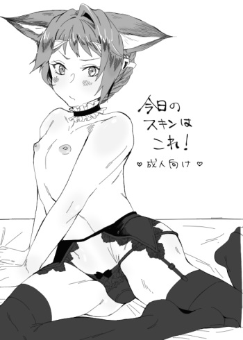 C91 Copy Hon + C93 Copy Hon cover