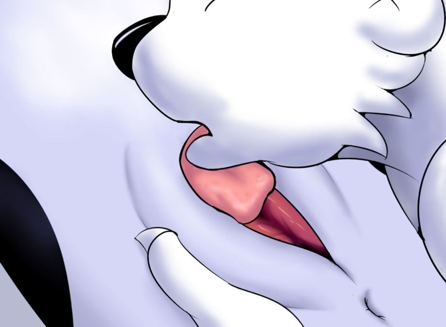 North Polin' page 5 full