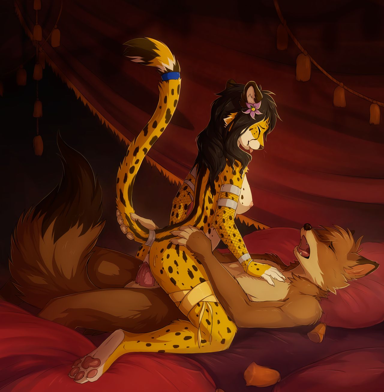 Cheetahs and beyond page 7 full