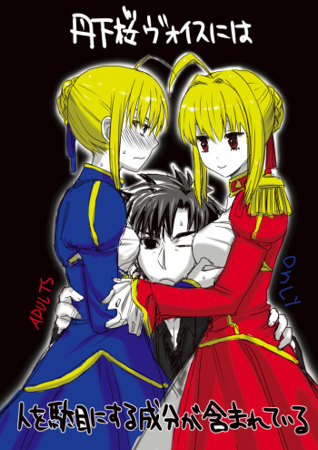 剣切剣コピー本 cover