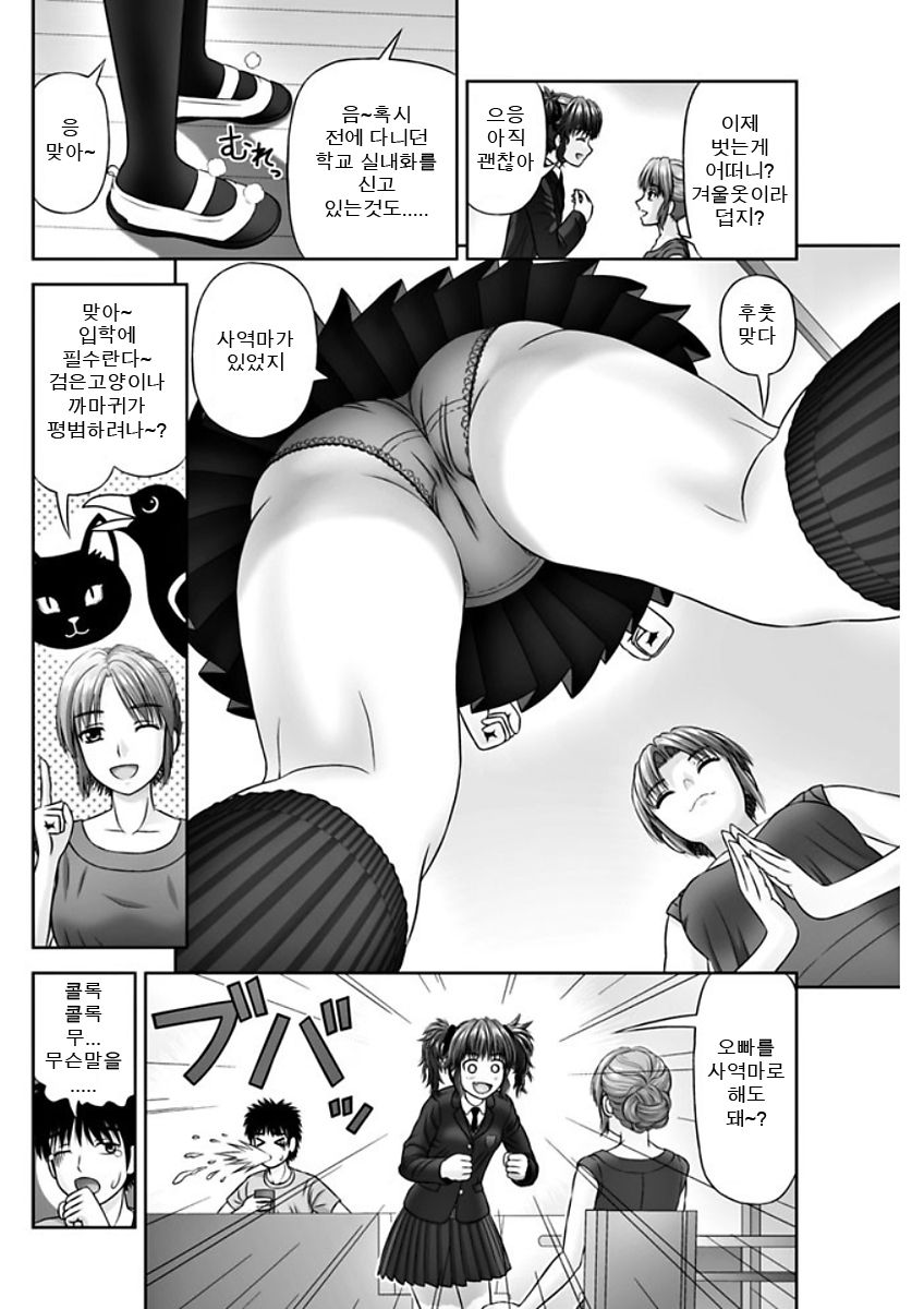 S no Tsukaima | S의 사역마 page 10 full