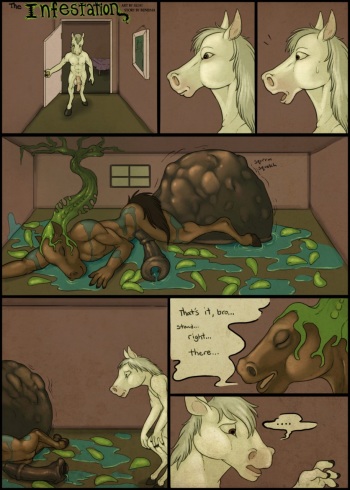 The Infestation cover