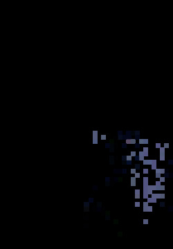 Anthophobia