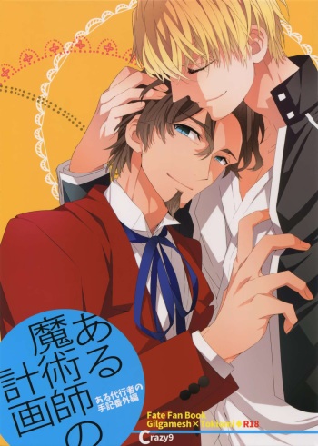 Aru Daikousha no Shuki Bangaihen ~Aru Majutsushi no Keikaku cover
