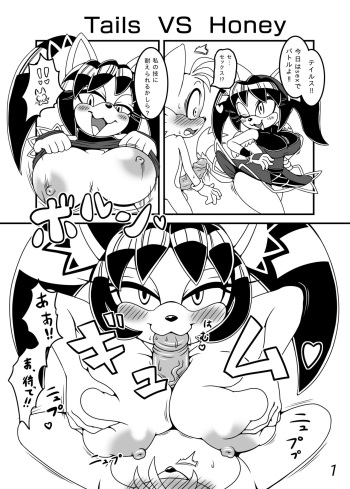 Tails vs Honey sex battle! cover