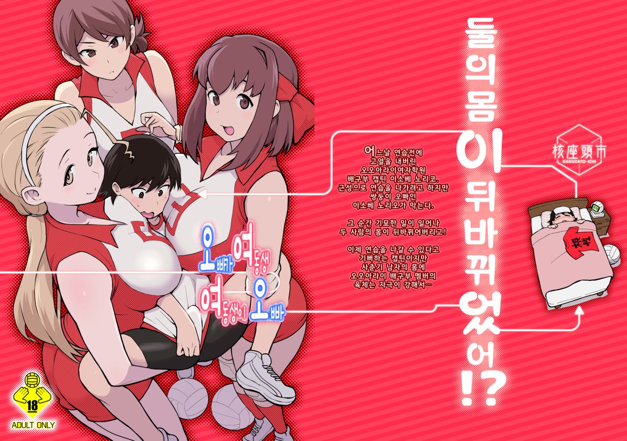 Ani ga Watashi de Watashi ga Ani de | 오빠가 여동생 여동생이 오빠 page 1 full