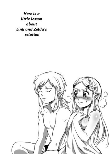 Link to Zelda no Shoshinsha ni Yasashii Sex Nyuumon | Here is a little lesson about Link and Zelda's relation cover