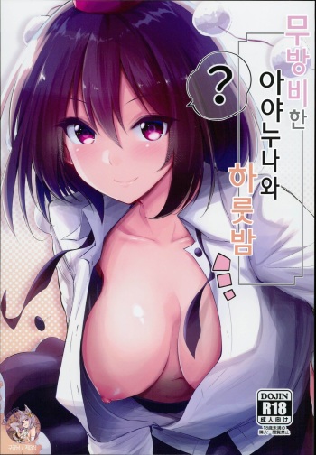 Muboubi na Aya Onee-chan to Otomari | 무방비한 아야누나와 하룻밤 cover
