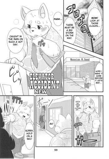 Elevator Accident cover