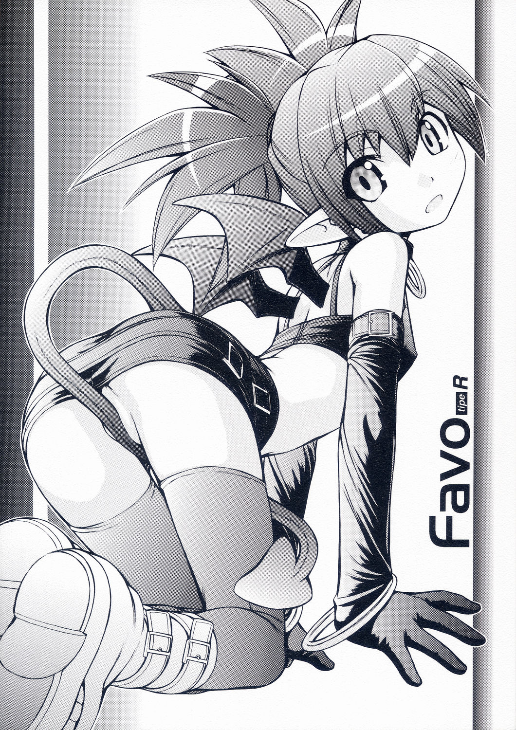 Favo tipeR page 1 full