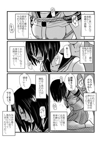 Shinon cover