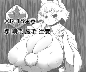 Shinnen Momiji Onsen cover
