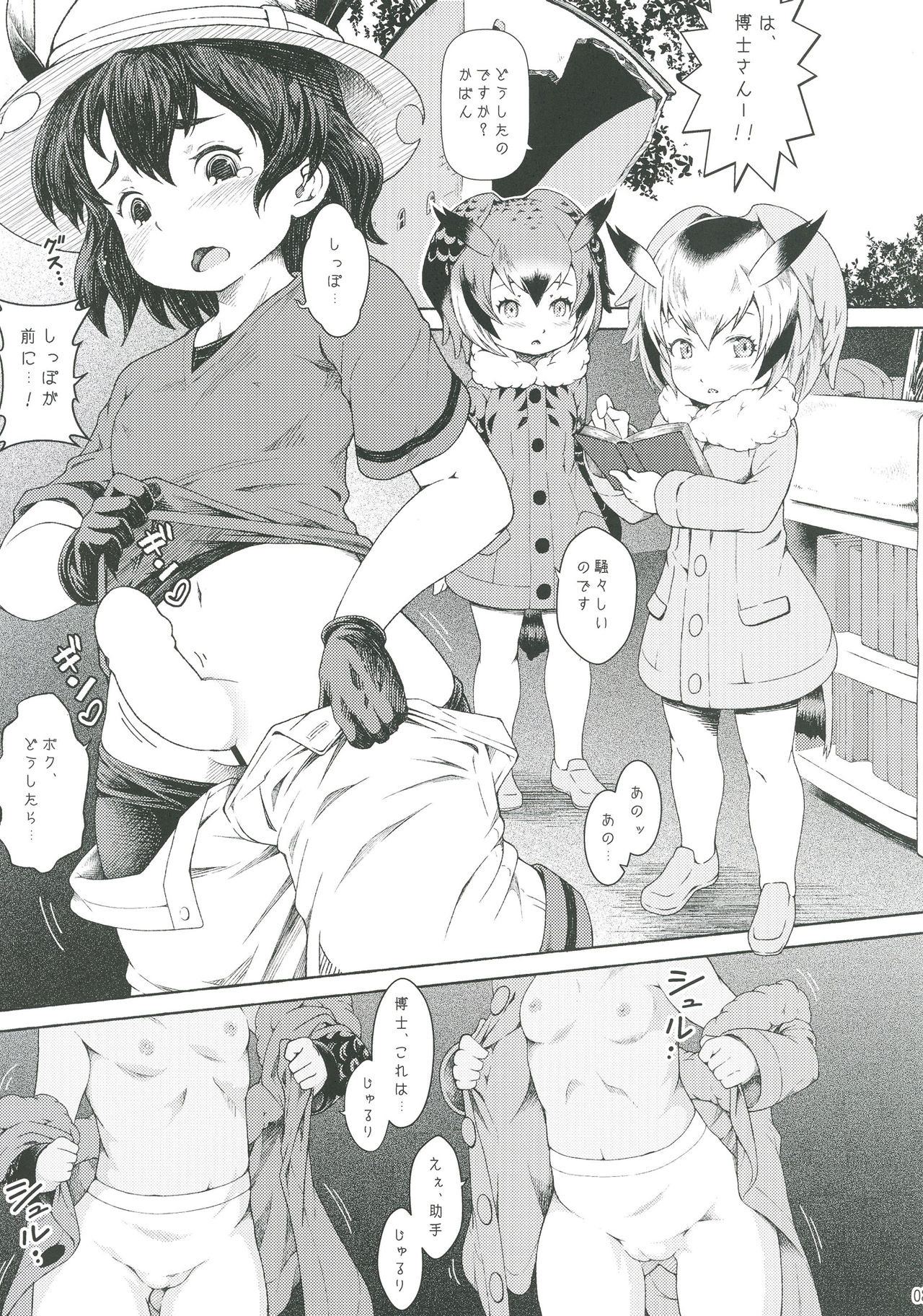 Animal Erographic ~Sora no Kemono~ page 4 full
