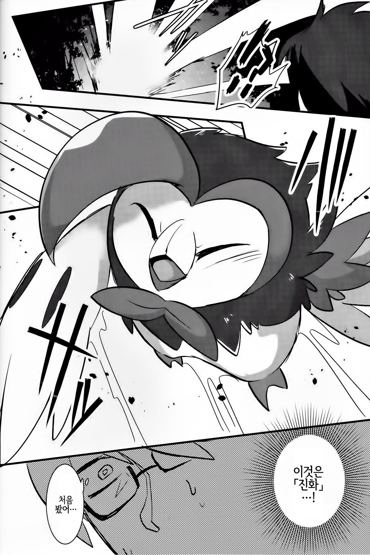 楽園の花嫁 page 5 full