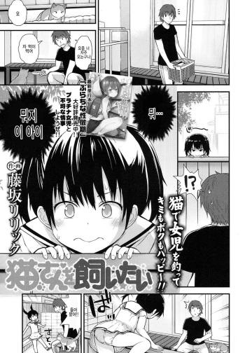 Neko-san o Kaitai cover